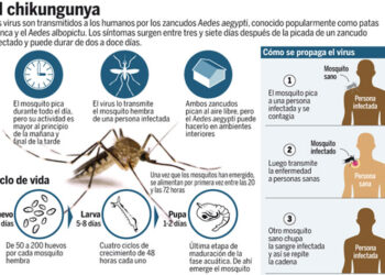 Chikungunya-causas-tratamiento