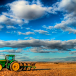 Agricultura Ecologica
