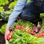 Agricultura Peru