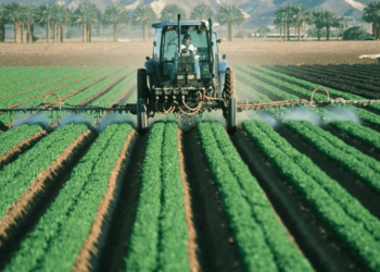 Dia Mundial De La Agricultura 2020