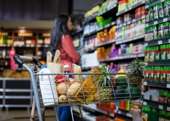 Canal Moderno Vs. Canal Tradicional: ¿Cuál Ofrece Más Ventajas?